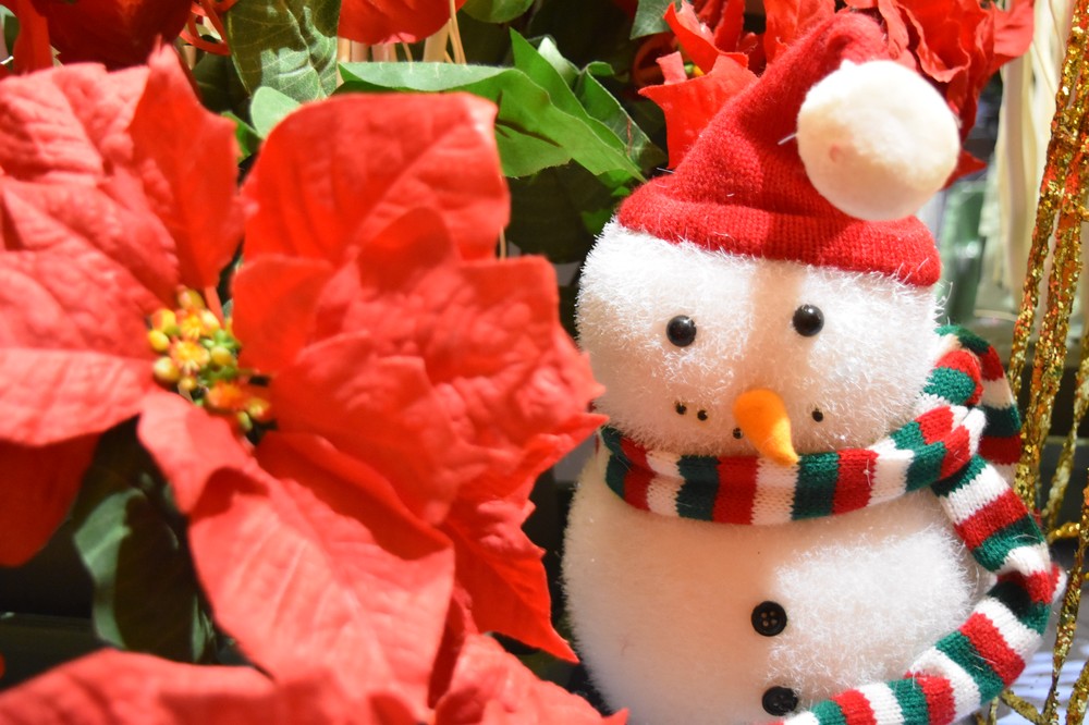 挙式済み者様対象：Home coming party開催のお知らせ≪2025年12月21日（日）≫